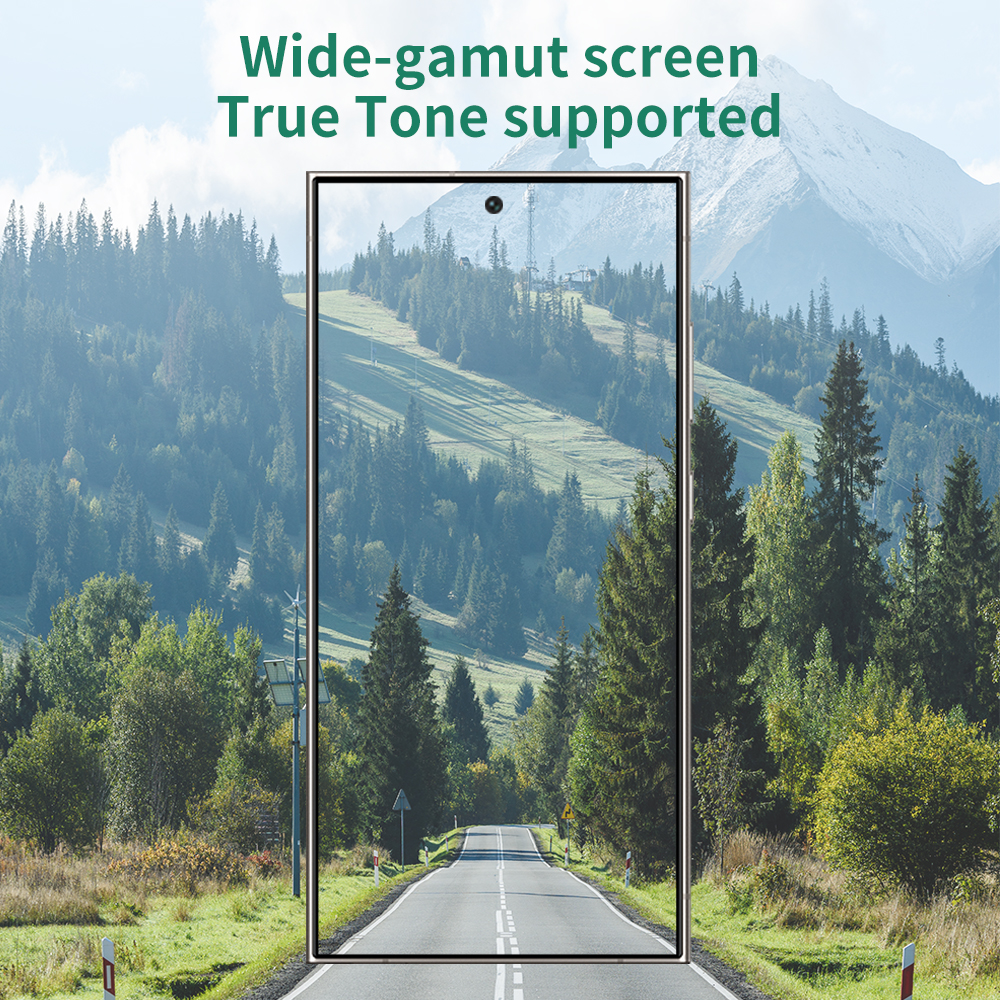OEM OLED Screen Assembly 