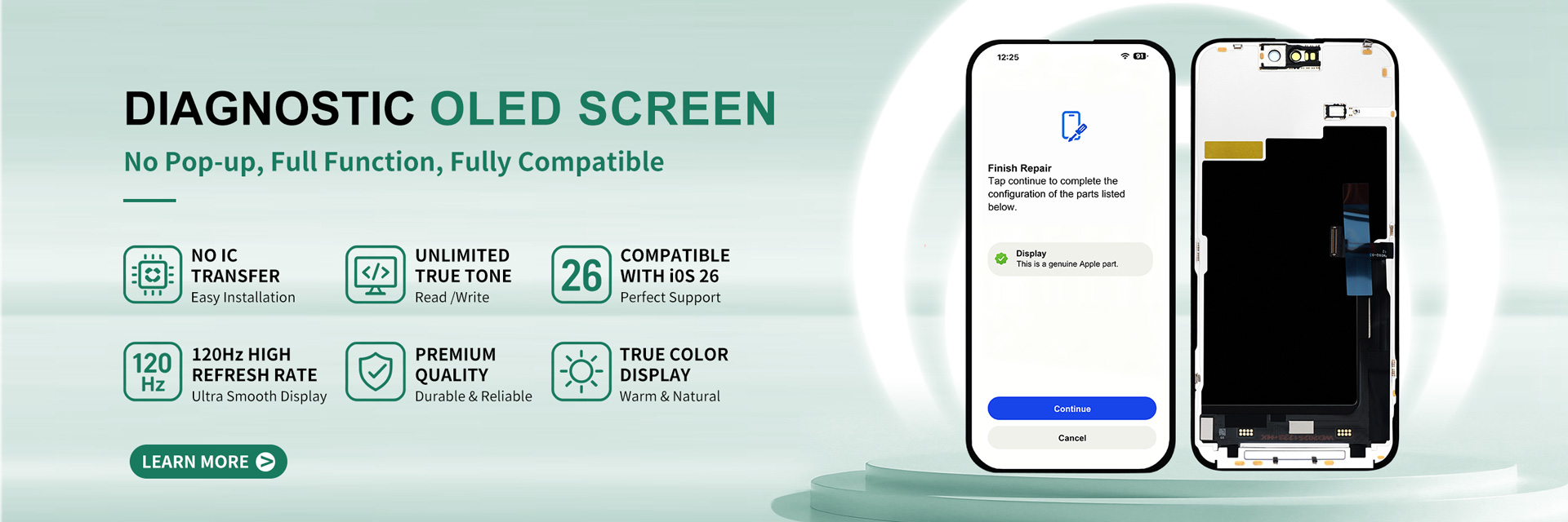 iPhone Diagnostic Screen